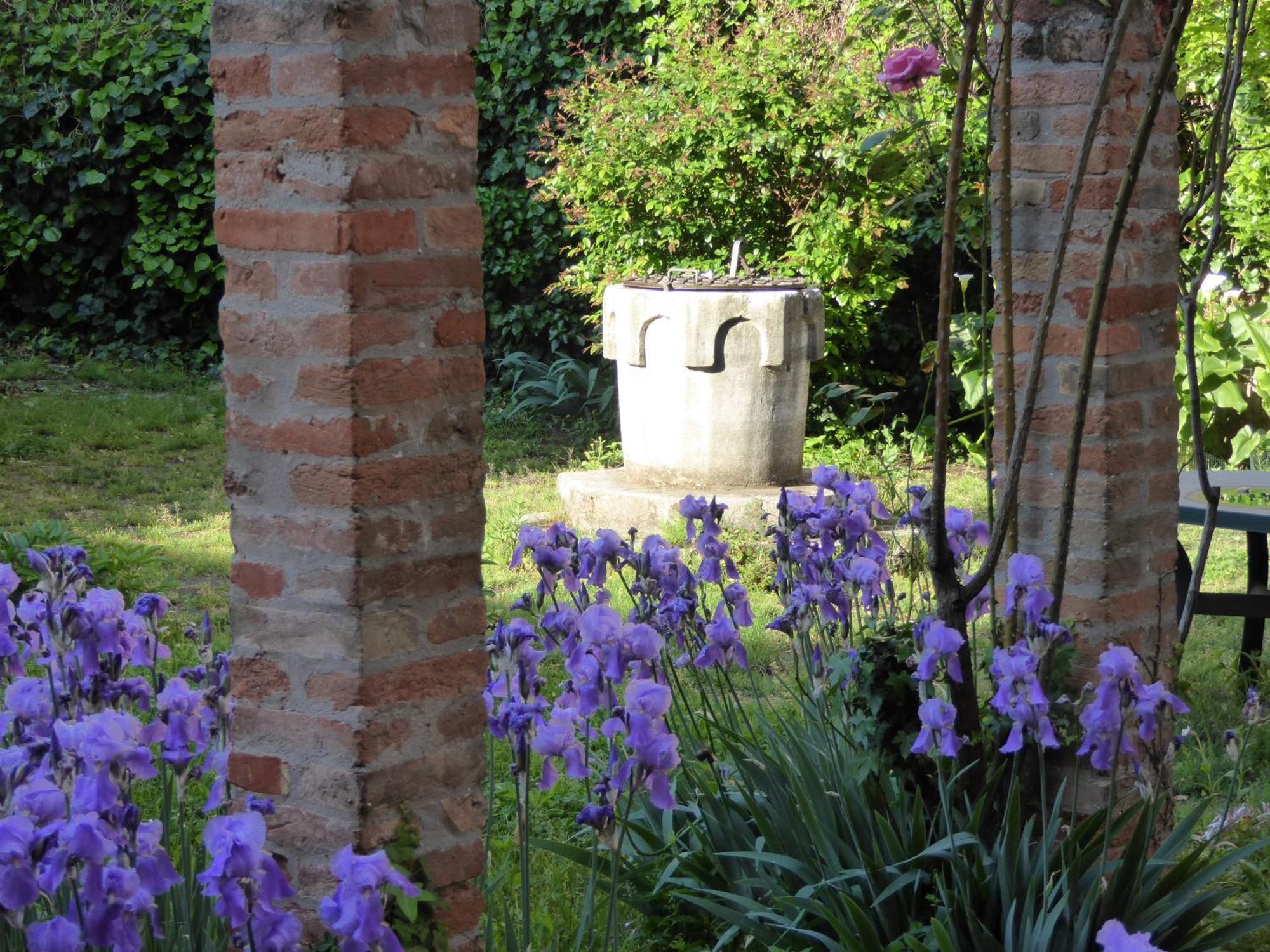 B&B Vista Sul Canal Grande Wenecja Zewnętrze zdjęcie